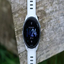 garmin forerunner 165 lead